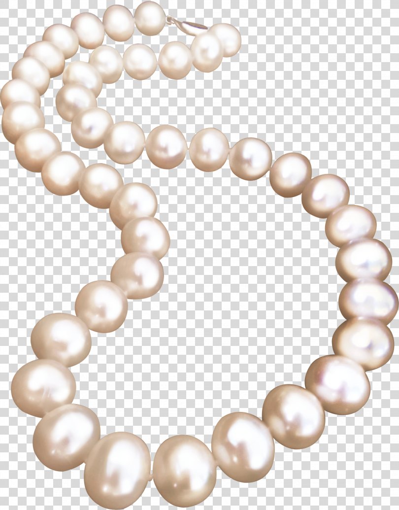 Pearl Necklace Jewellery Pearl Necklace Pearl PNG