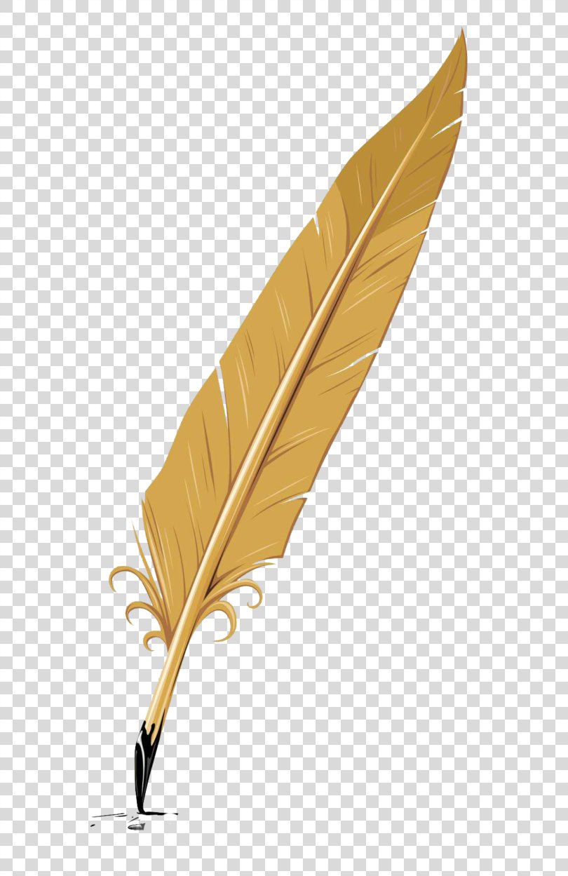 Writing Quill Feather Pen Feather PNG