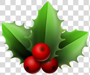 Mistletoe PNG Images, Transparent Mistletoe Images