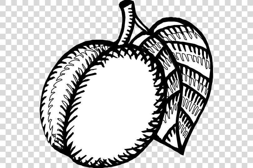 Nectarine Black And White Drawing Coloring Book Clip Art, Nectarine Cliparts PNG
