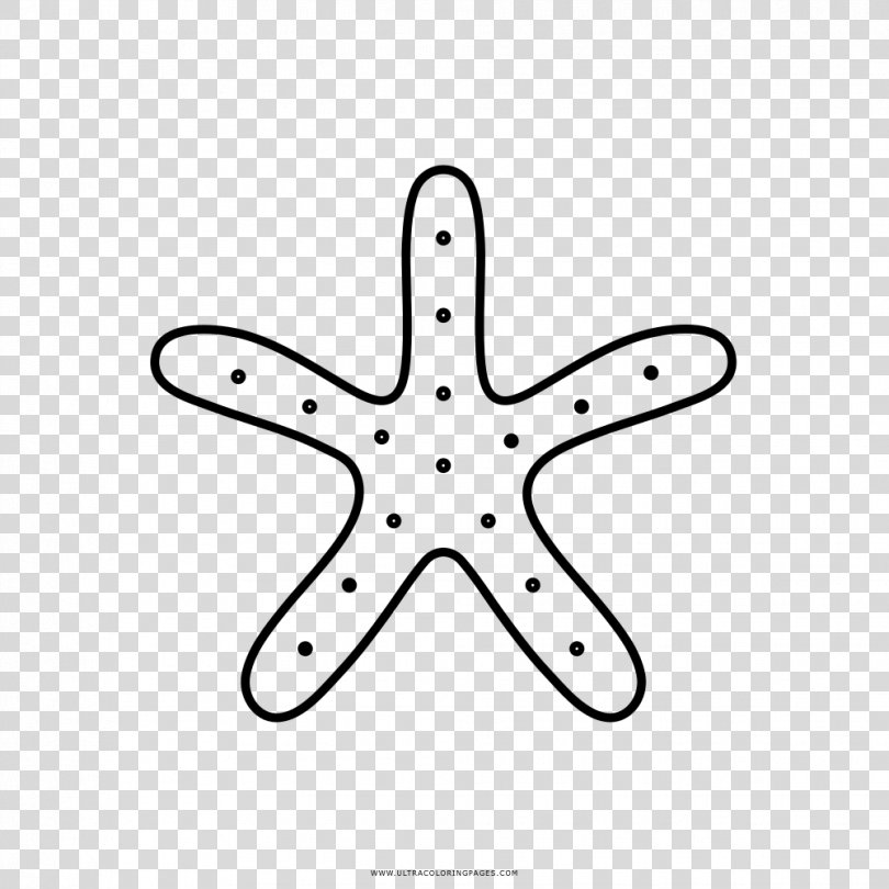 Starfish Black And White Drawing Coloring Book Painting, Starfish PNG