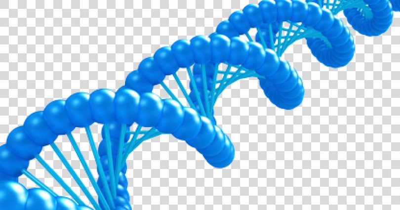 DNA Computing Stock Photography, DNA PNG
