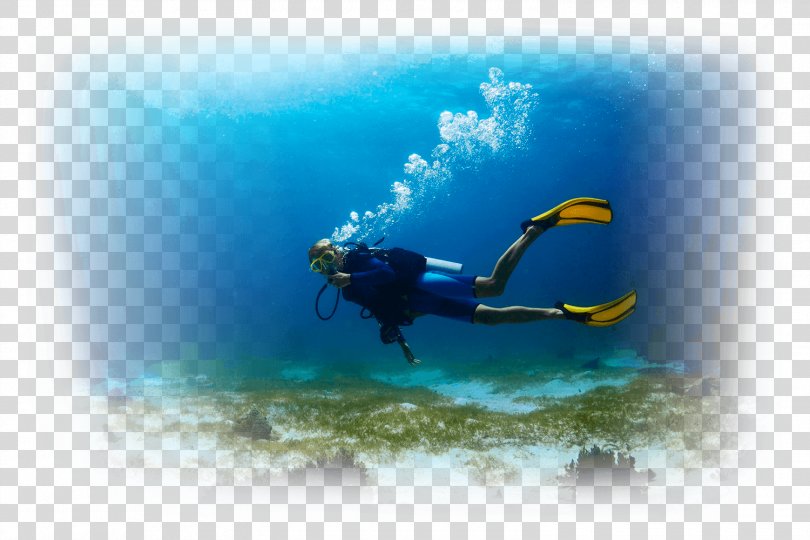 Underwater Diving Scuba Diving Open Water Diver Diver Certification Snorkeling, Scuba Diving PNG