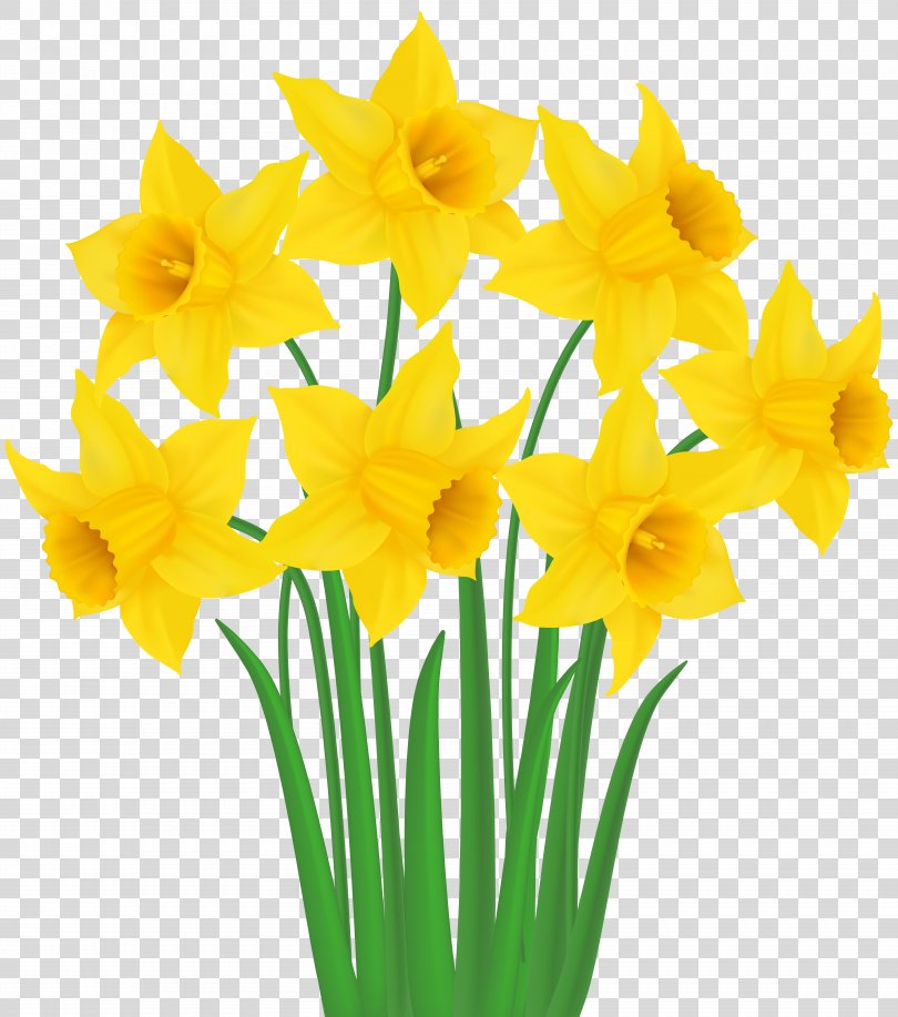 Daffodil Clip Art Yellow Daffodils Transparent Clip Art Image Png