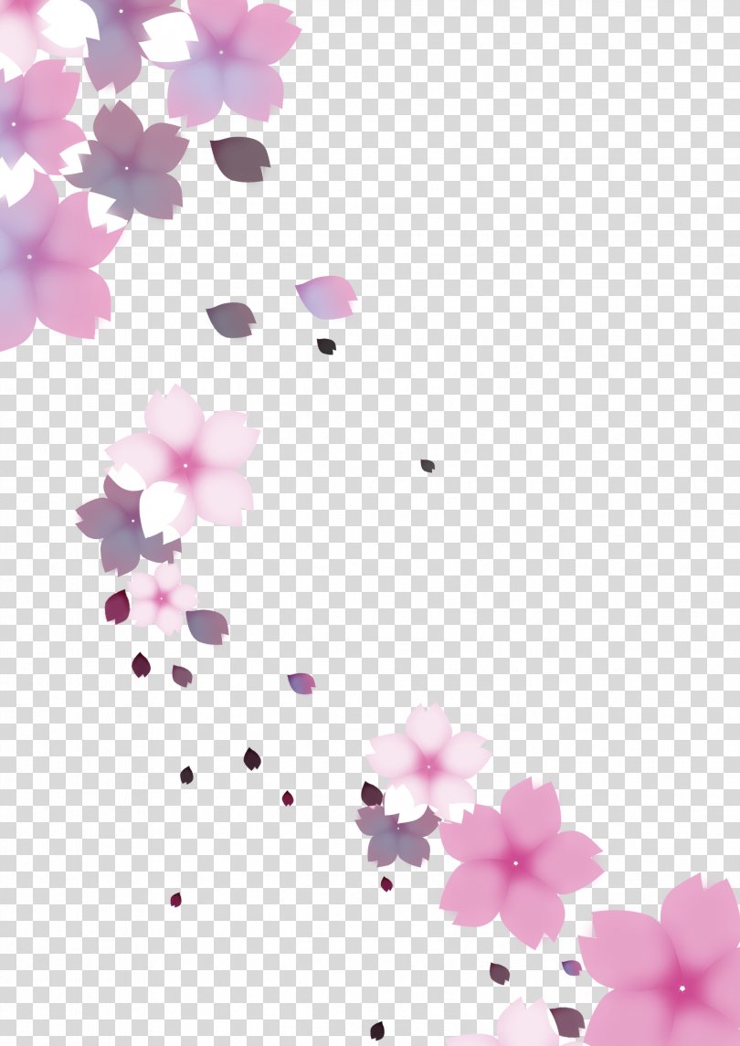 Cherry Blossom Cerasus, Cherry Blossoms PNG