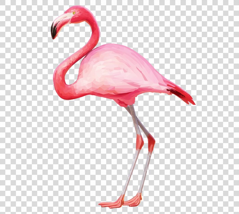 Flamingo Clip Art, Flamingo PNG