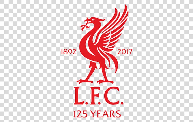 Liverpool F.C. Liverpool L.F.C. Football Player Liver Bird, Football PNG
