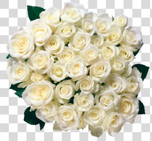 White Roses PNG Images, Transparent White Roses Images