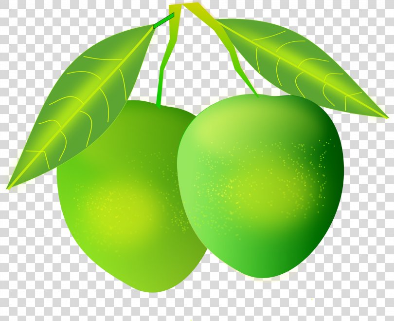 Mango Clip Art, Mango Image PNG