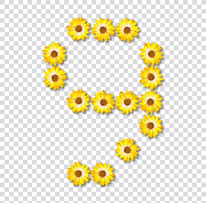 Alphabet Letter Flower, Lettering Alphabet Flower Rose PNG