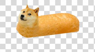 Doge PNG Images, Transparent Doge Images