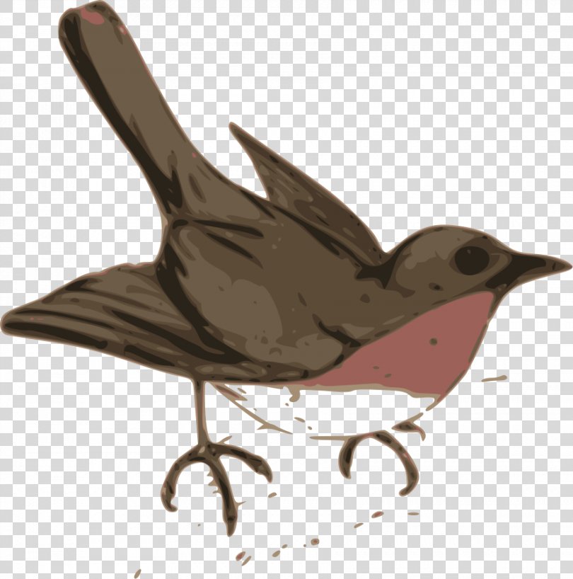 Bird European Robin Cuckoos Clip Art, Birds PNG