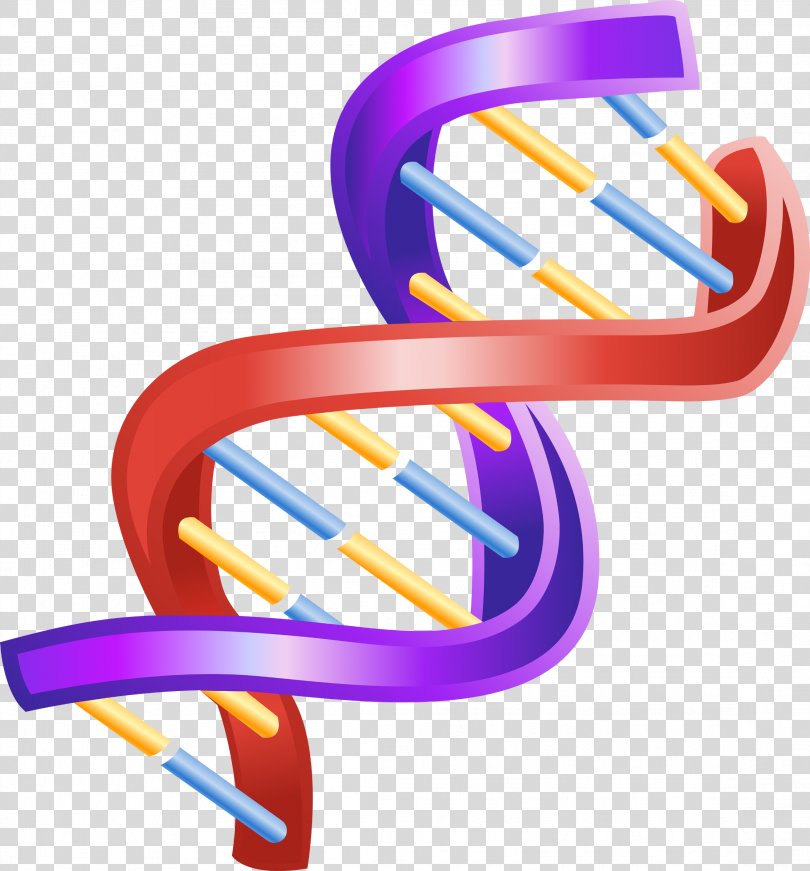 Nucleic Acid Double Helix The Double Helix: A Personal Account Of The ...