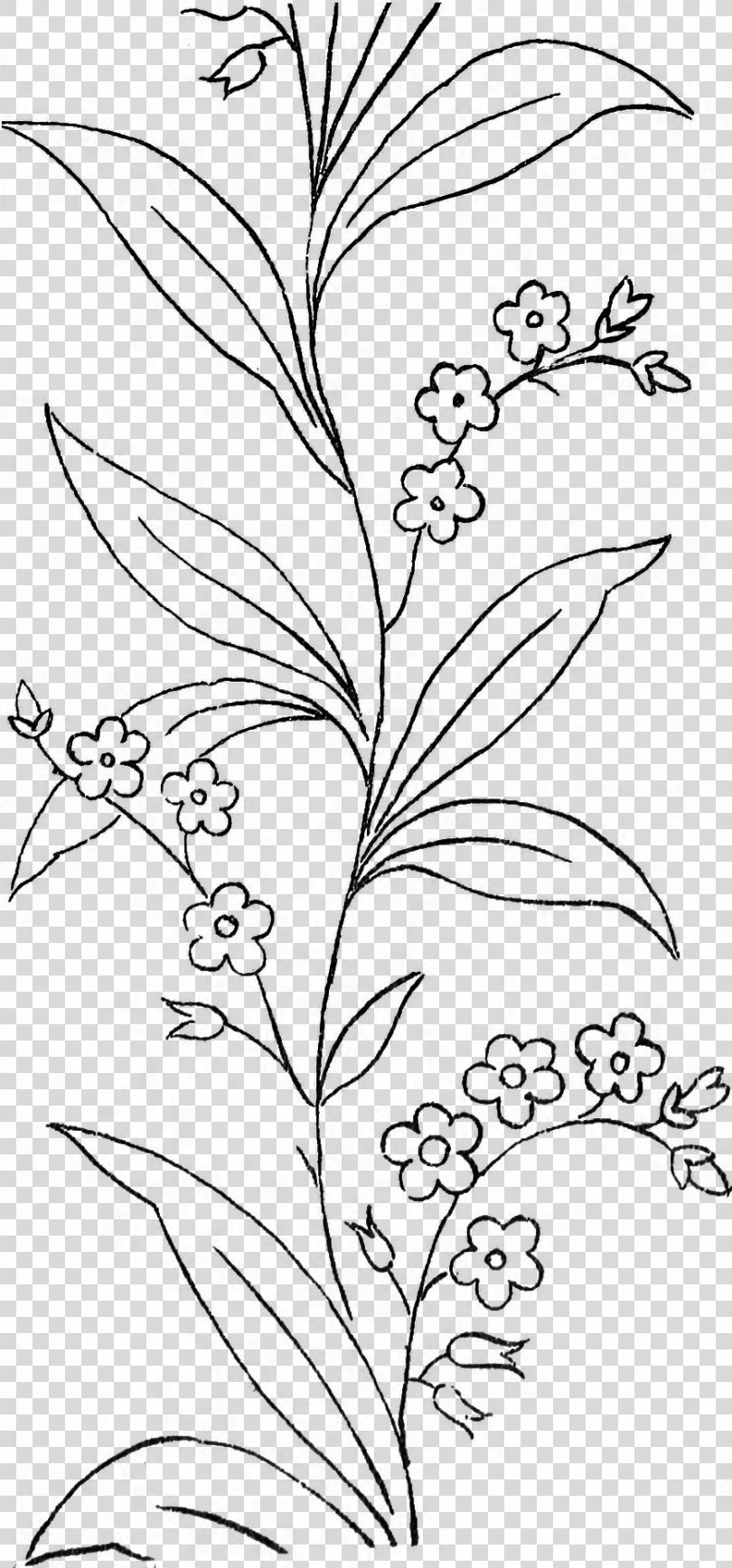 Black And White Leaf Line Art Drawing Coloring Book, Forget Me Not PNG