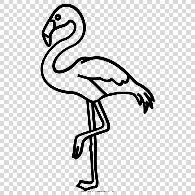 Flamingos Beak Black And White Drawing Coloring Book, Silhouette PNG