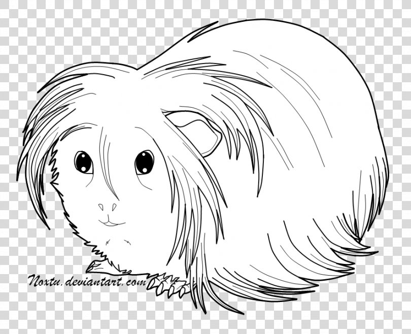 Drawing SafeSearch Monochrome Photography, Guinea Pig PNG