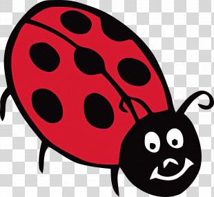 Ladybug PNG Images, Transparent Ladybug Images