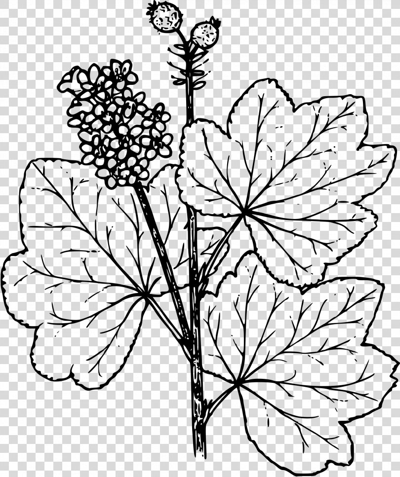 Black And White Drawing Coloring Book Painting Line Art, Painting PNG