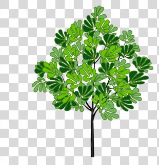 Tree Download, Tree PNG