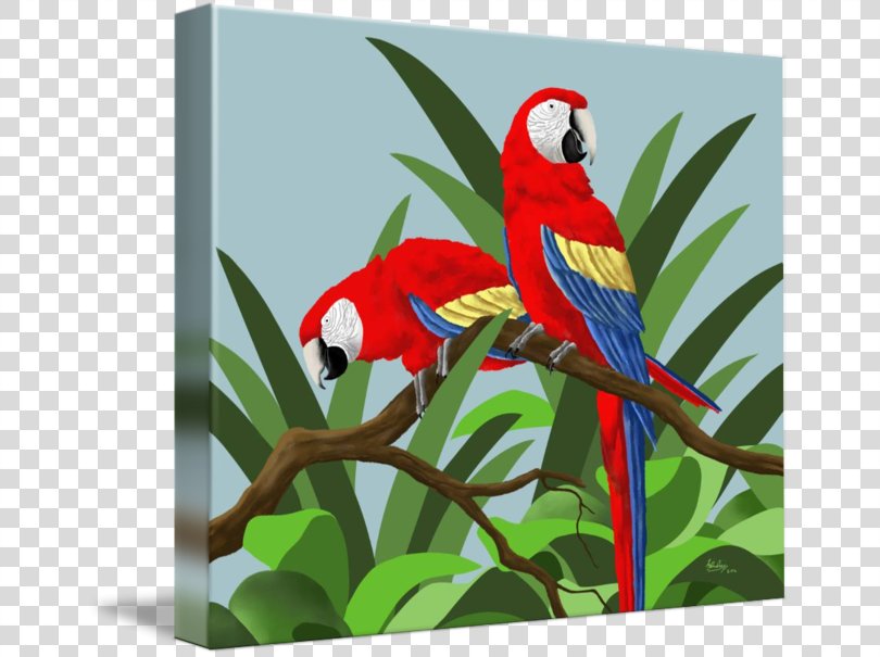 Budgerigar Scarlet Macaw Parrot Blue-and-yellow Macaw, Parrot PNG