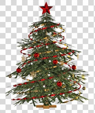 Christmas Tree, Christmas Tree Transparent PNG