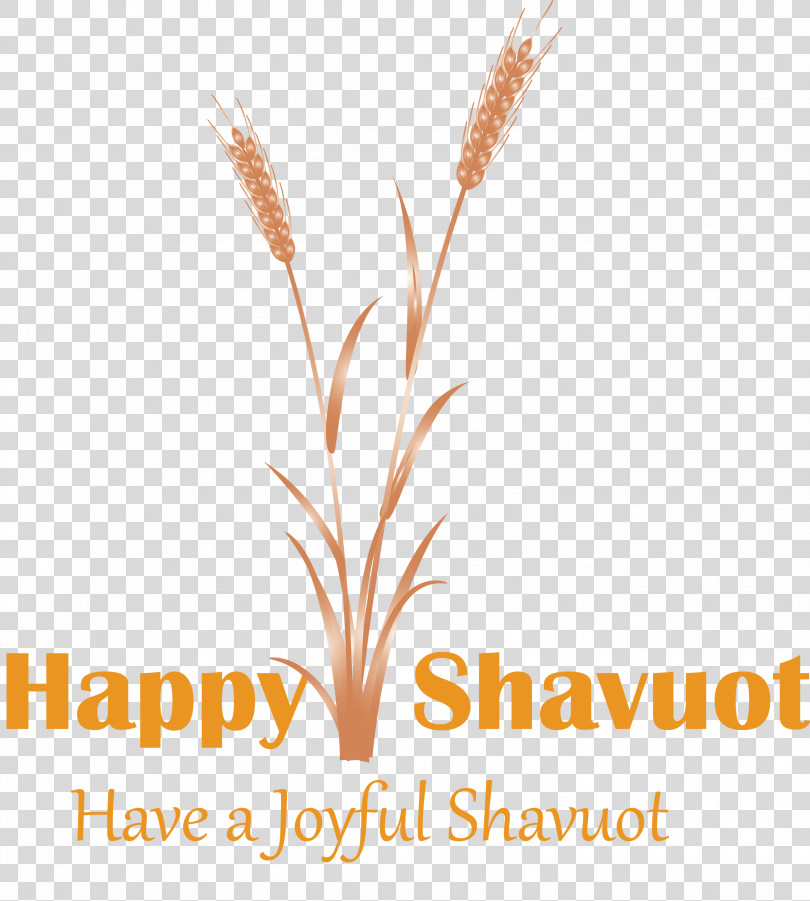 Happy Shavuot Shavuot Shovuos PNG