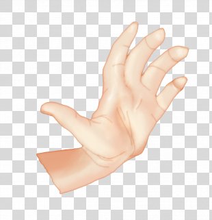 Thumb Hand Model Nail, Thumbs Up Hand Gesture Transparent Clip Art PNG