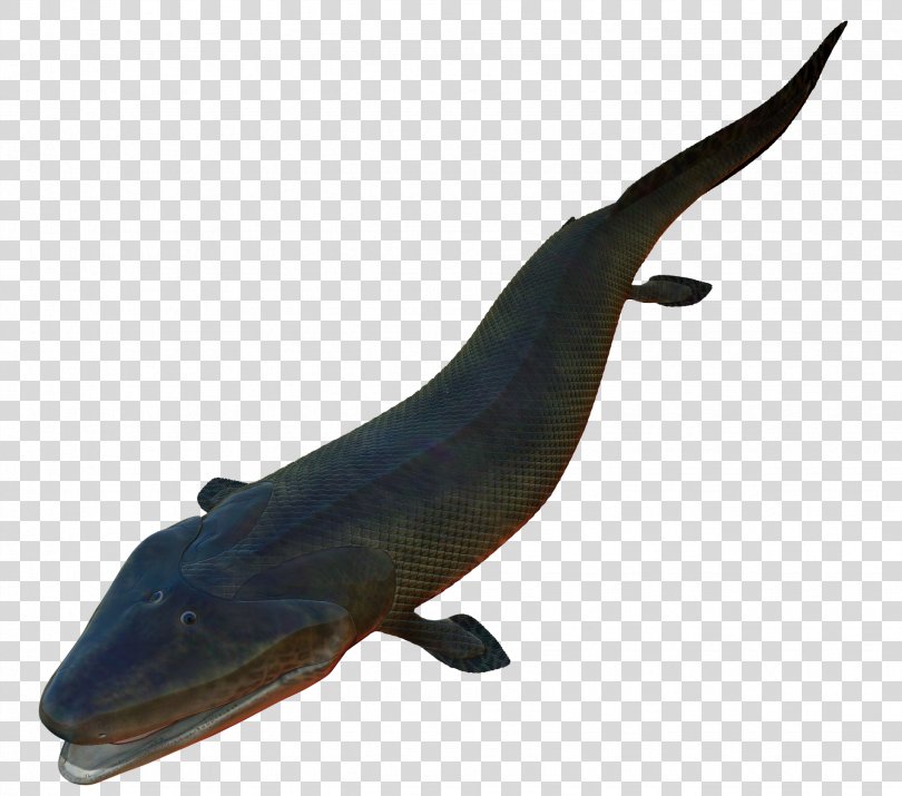 Late Devonian Extinction Amphibian Tiktaalik Evolution Sarcopterygii ...