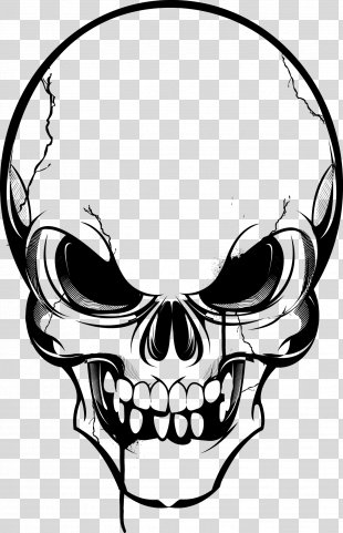 Skull PNG Images, Transparent Skull Images