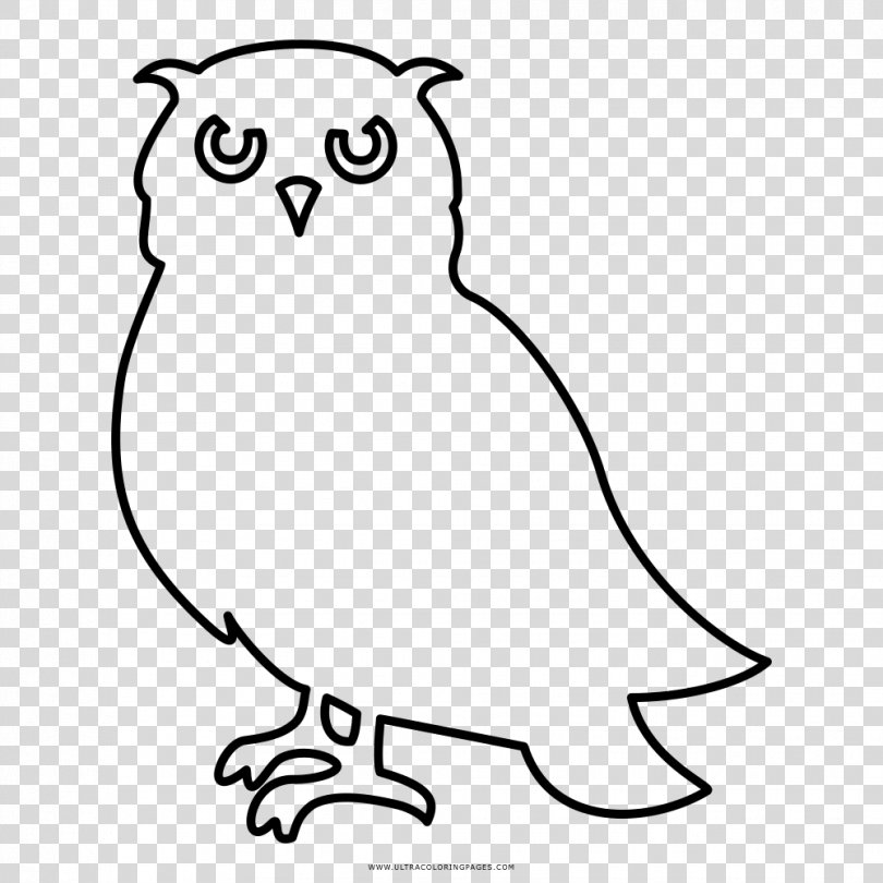 Little Owl Black And White Drawing Coloring Book, Owl PNG