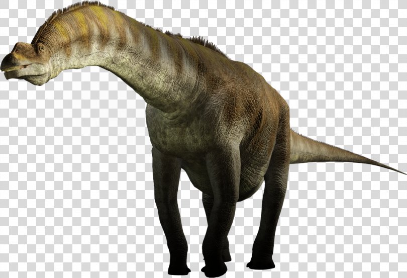 Argentinosaurus Dinosaur Size World's Largest Dinosaur Giganotosaurus Mapusaurus, Dinosaur PNG PNG